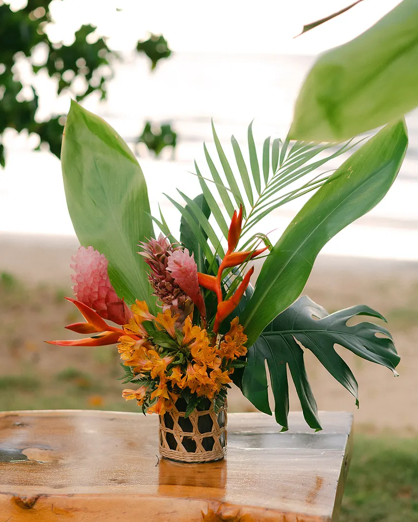 Ellie & Jason destination wedding photo, Villa del Mar, Las Terrenas
