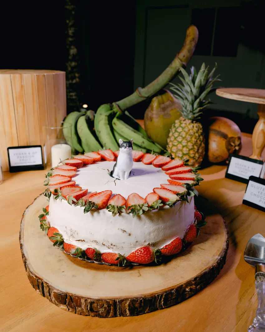 Kat & Leo destination wedding photo, Villa Azul, Cabarete