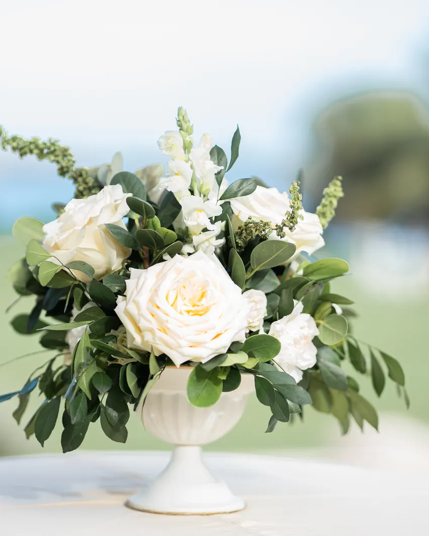 Teshanna & Brandon destination wedding photo, Villa Saphire, Puerto Plata